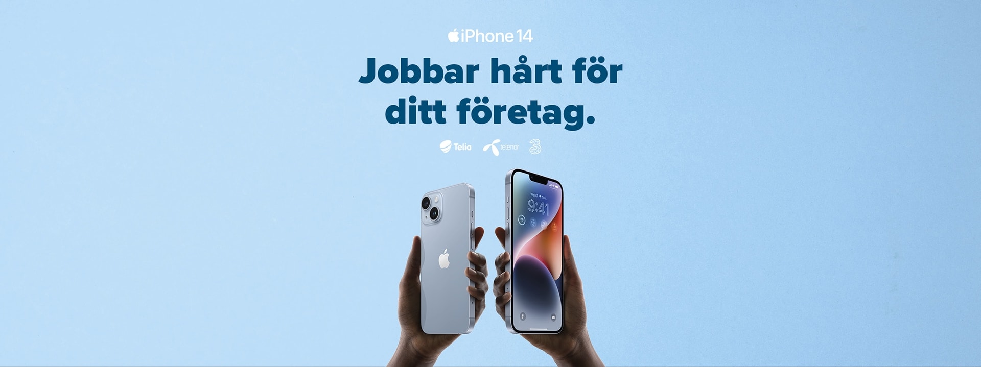 259924564